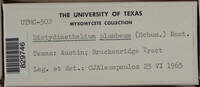 Image Associated With the Occurence